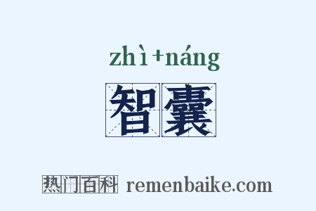 智囊是什么意思的图片